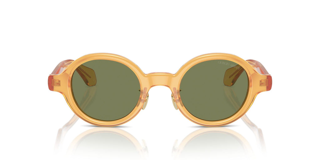Giorgio Armani AR8205