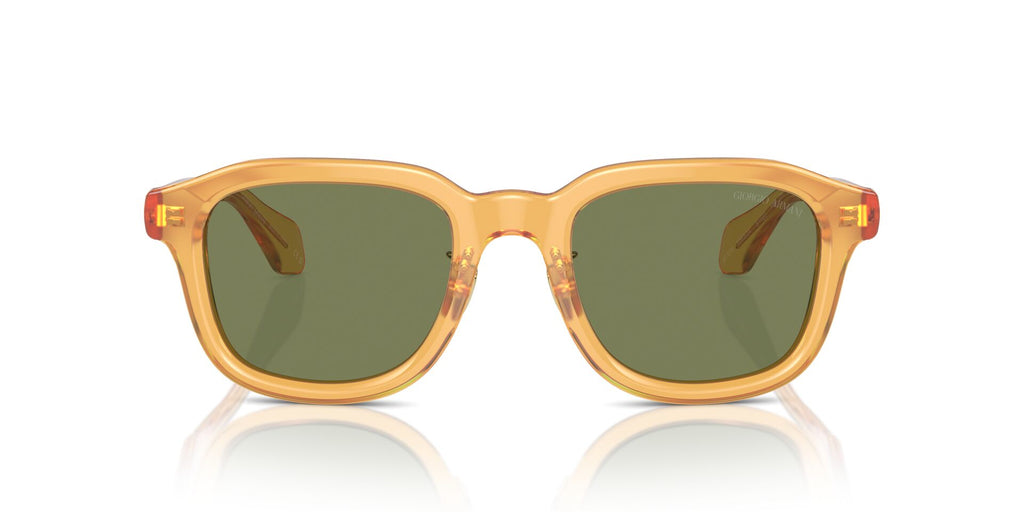 Giorgio Armani AR8206