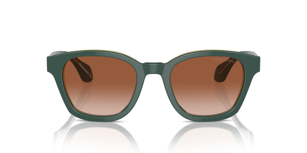 Giorgio Armani AR8207