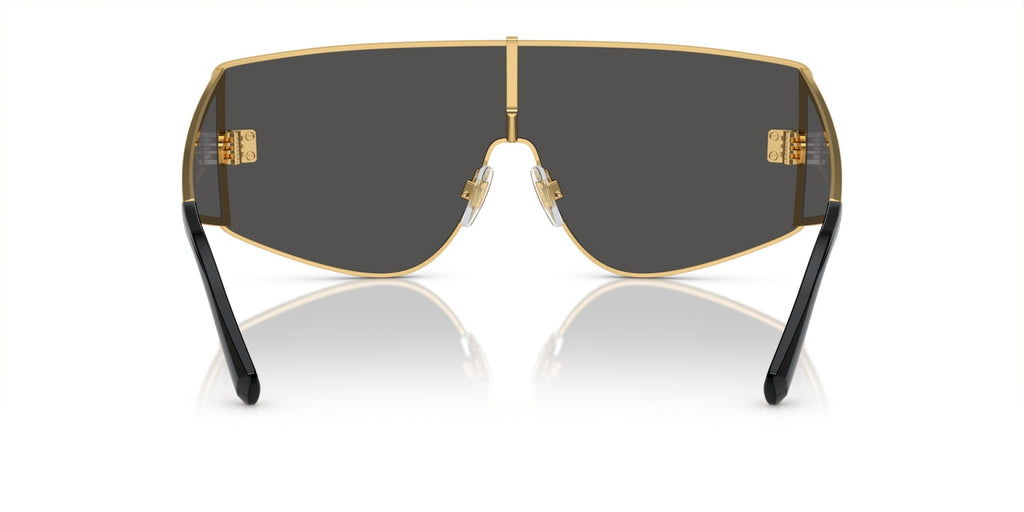 Dolce&Gabbana DG2305