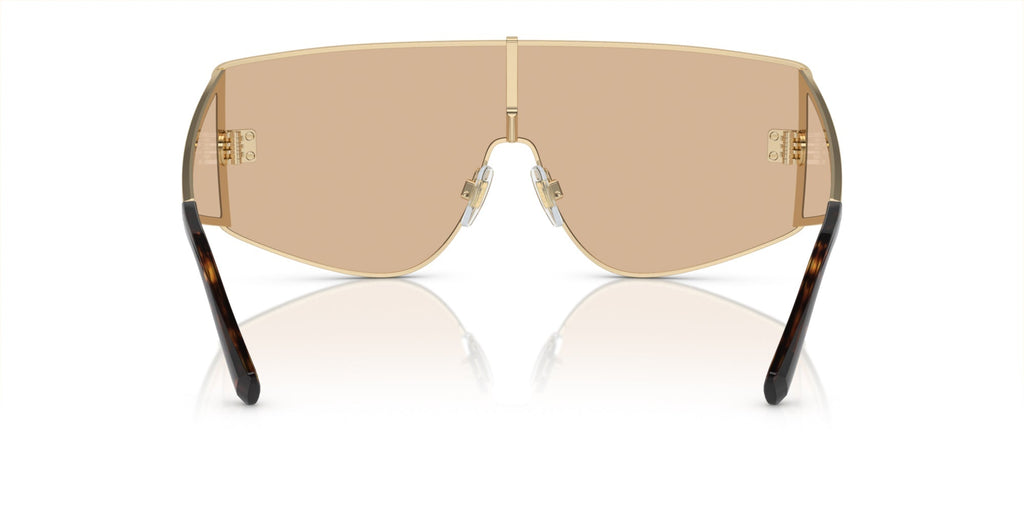 Dolce&Gabbana DG2305