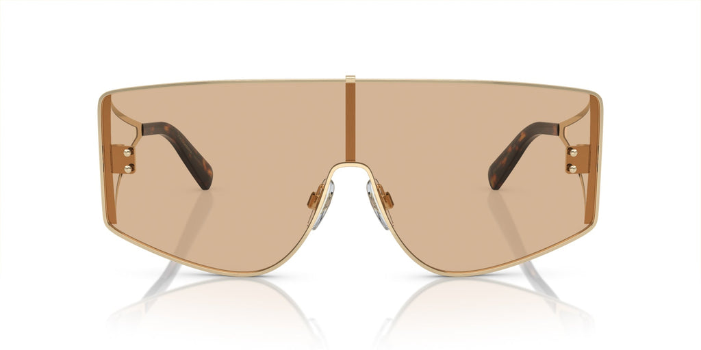 Dolce&Gabbana DG2305