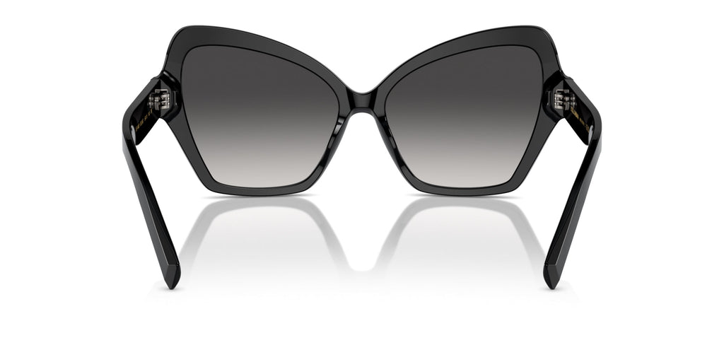 Dolce&Gabbana DG4463