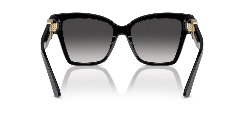 Dolce&Gabbana DG4470