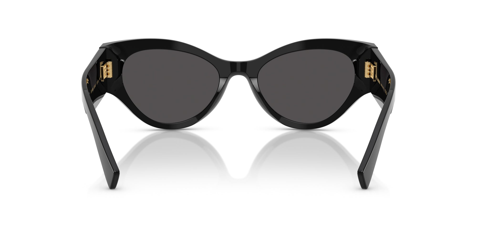 Dolce&Gabbana DG4480