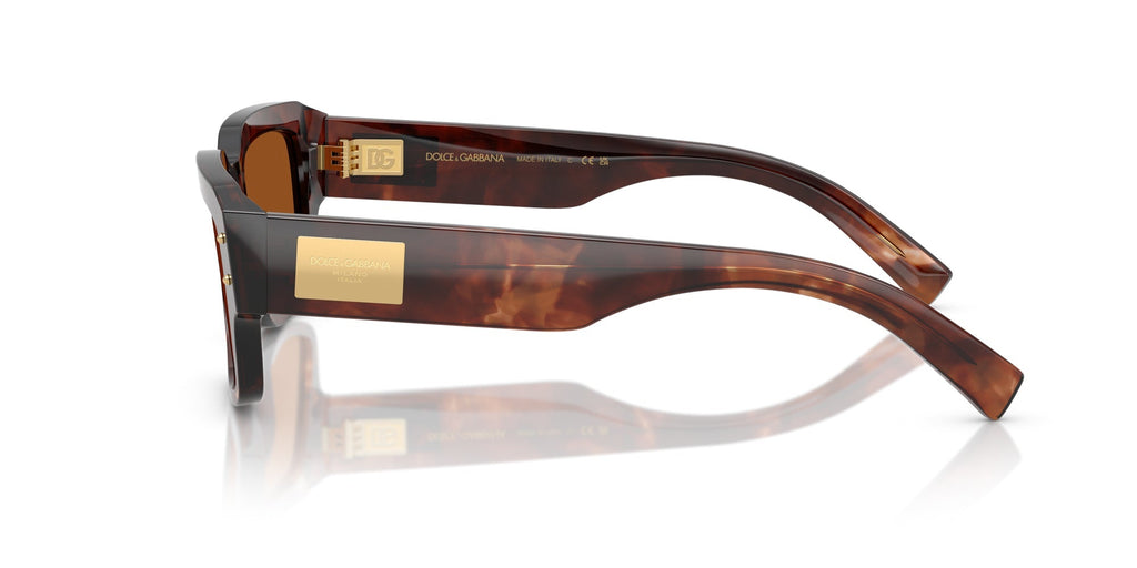 Dolce&Gabbana DG4483