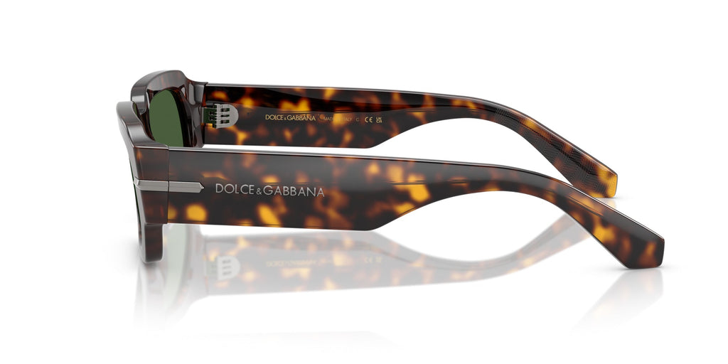 Dolce&Gabbana DG4485