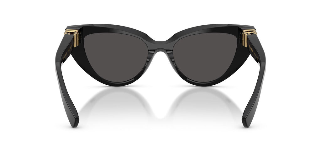 Dolce&Gabbana DG4497