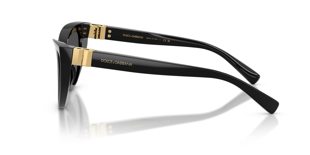 Dolce&Gabbana DG4497
