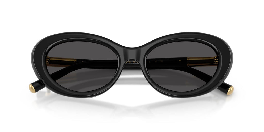 Dolce&Gabbana DG4519