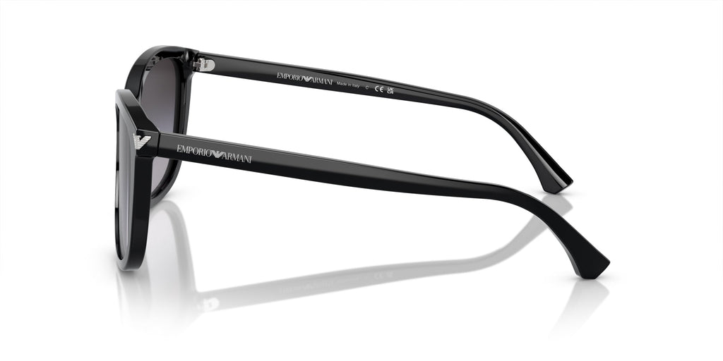 Emporio Armani EA4060