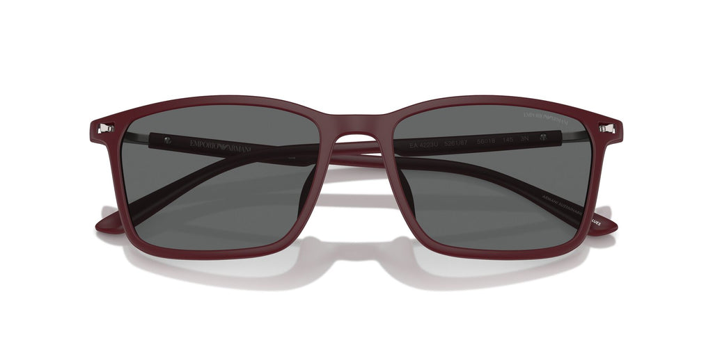 Emporio Armani EA4223U