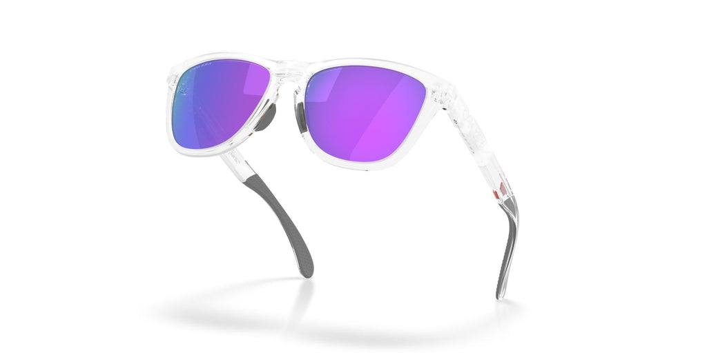 Oakley Frogskins Range Xl OO9503