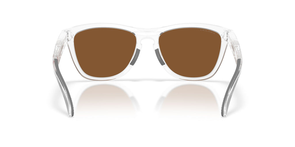 Oakley Frogskins Range Xl OO9503