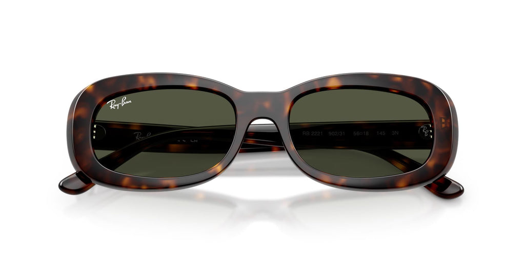Ray-Ban RB2221