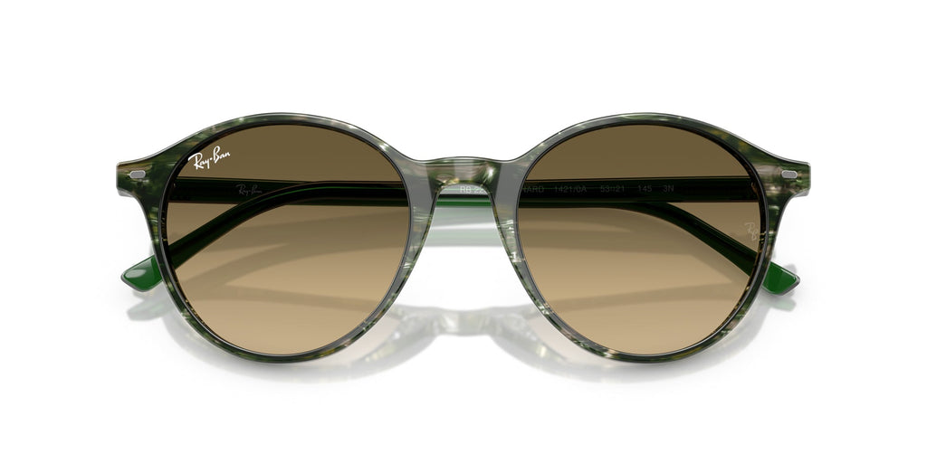 Ray-Ban Bernard RB2230