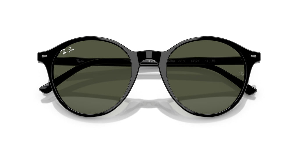 Ray-Ban Bernard RB2230