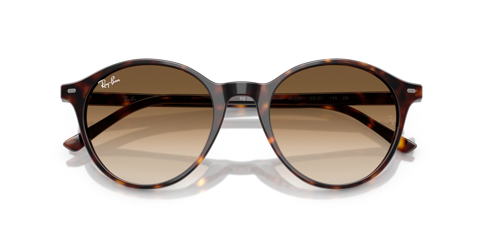 Ray-Ban Bernard RB2230