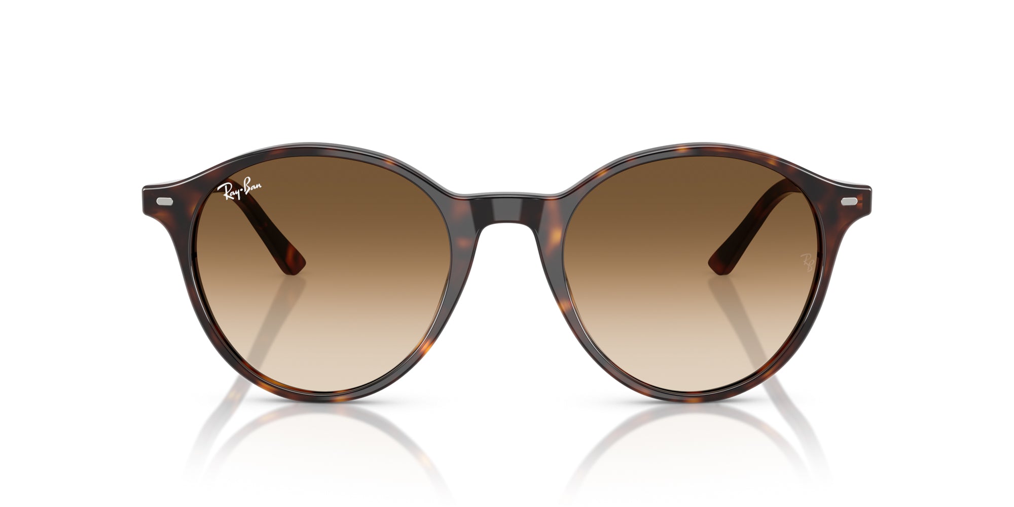 Ray-Ban Bernard RB2230