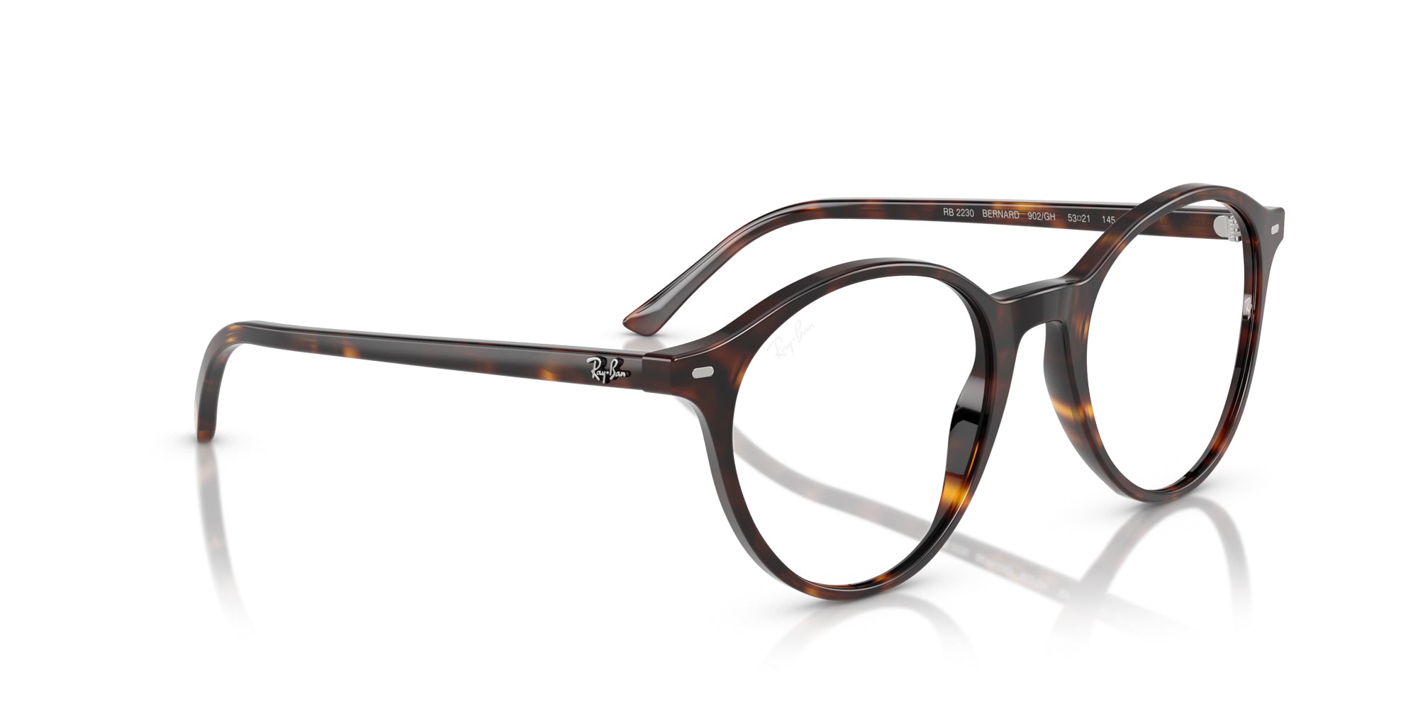 Ray-Ban Bernard RB2230