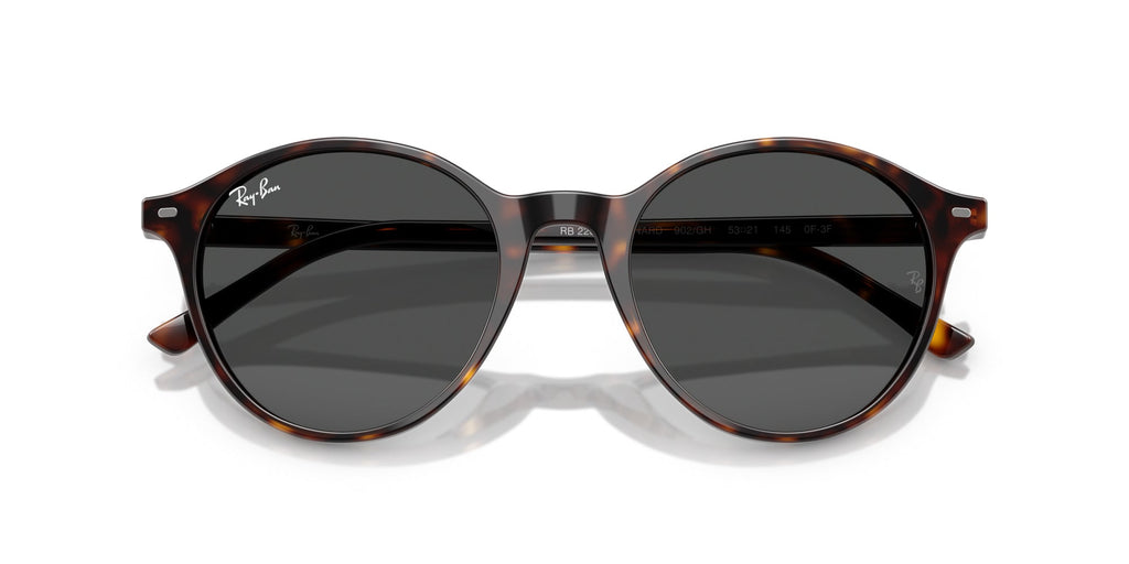 Ray-Ban Bernard RB2230