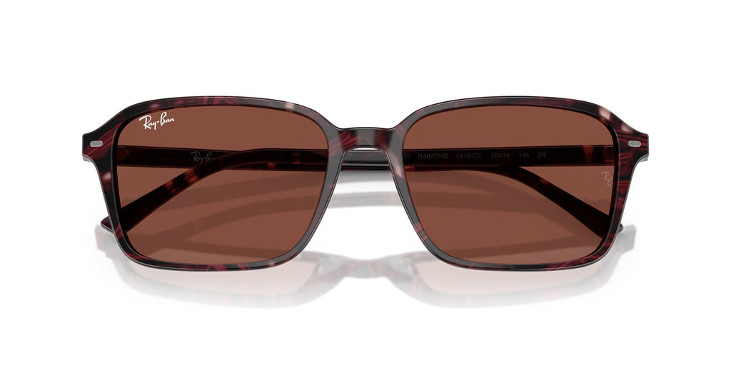 Ray-Ban Raimond RB2231