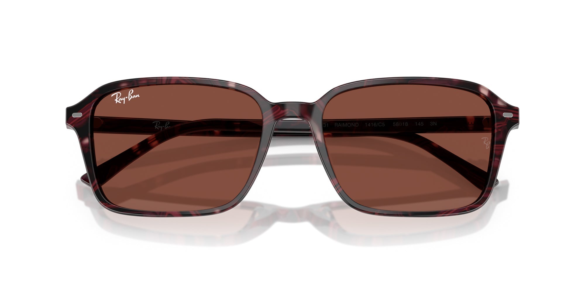 Ray-Ban Raimond RB2231