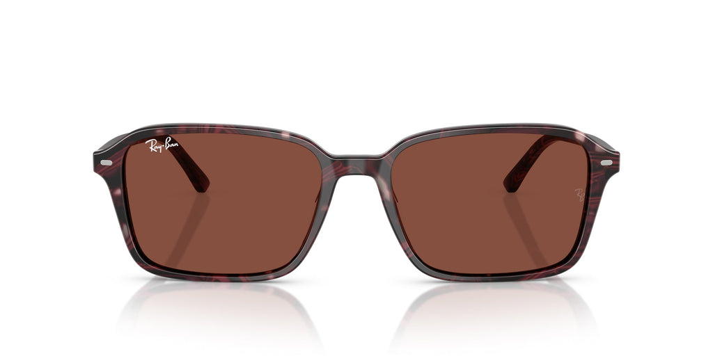 Ray-Ban Raimond RB2231