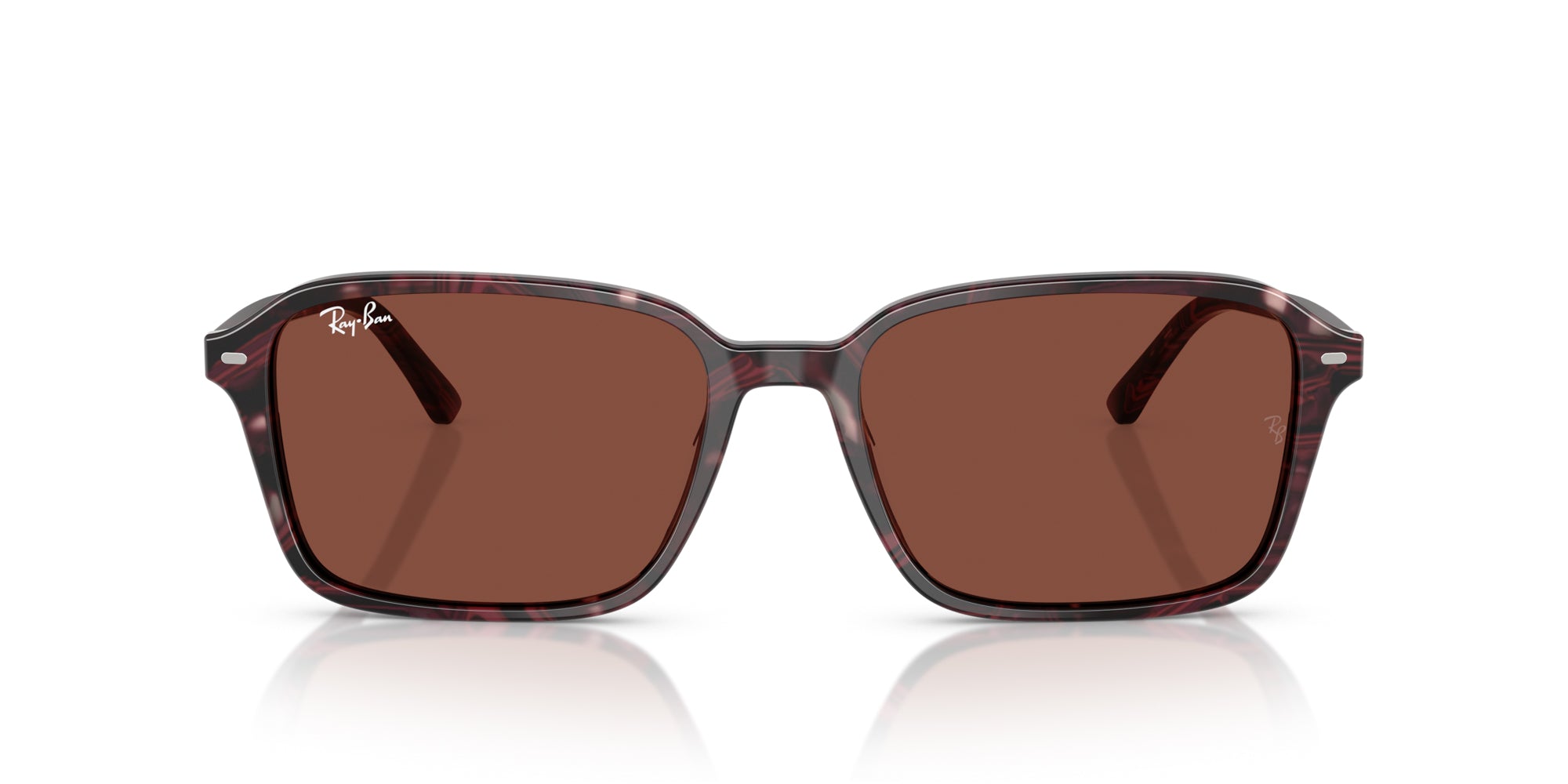 Ray-Ban Raimond RB2231