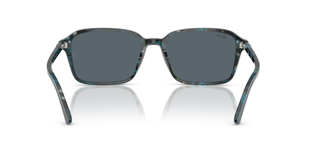 Ray-Ban Raimond RB2231