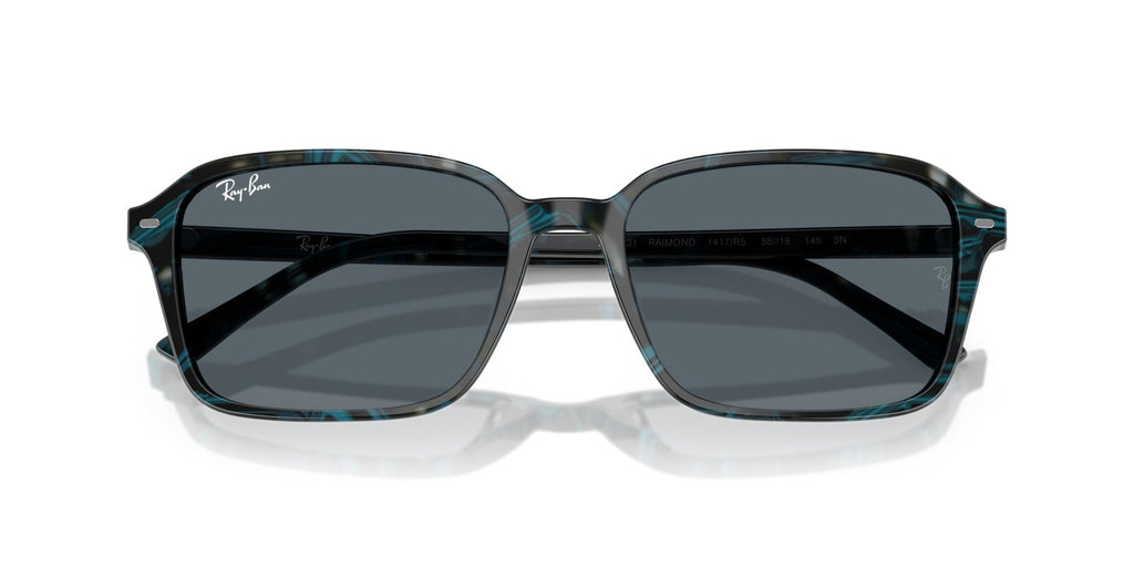 Ray-Ban Raimond RB2231