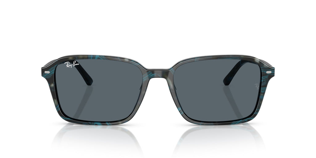 Ray-Ban Raimond RB2231