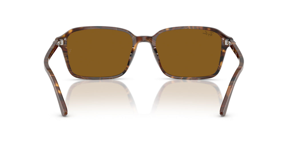 Ray-Ban Raimond RB2231