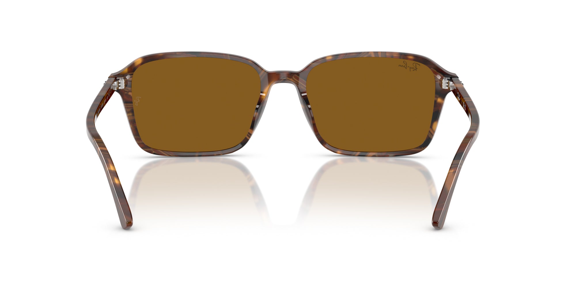 Ray-Ban Raimond RB2231