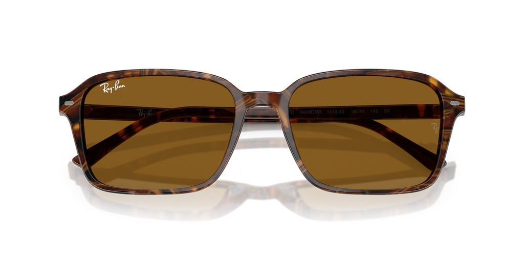 Ray-Ban Raimond RB2231