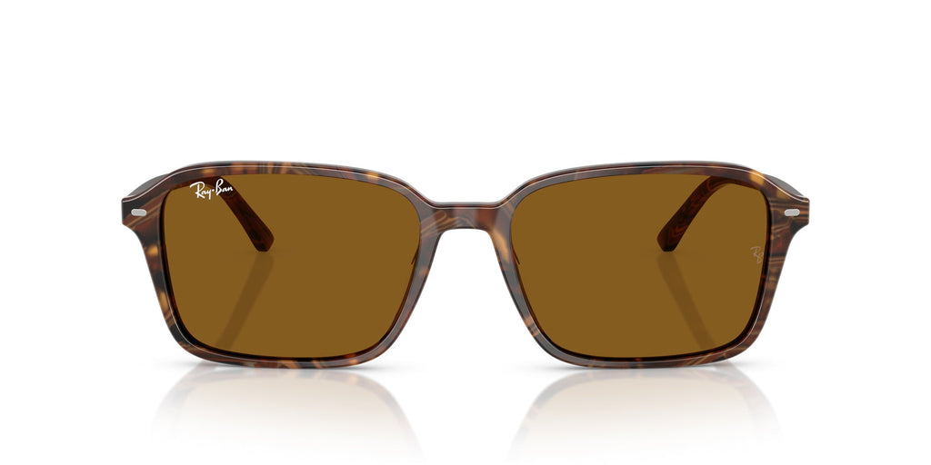 Ray-Ban Raimond RB2231