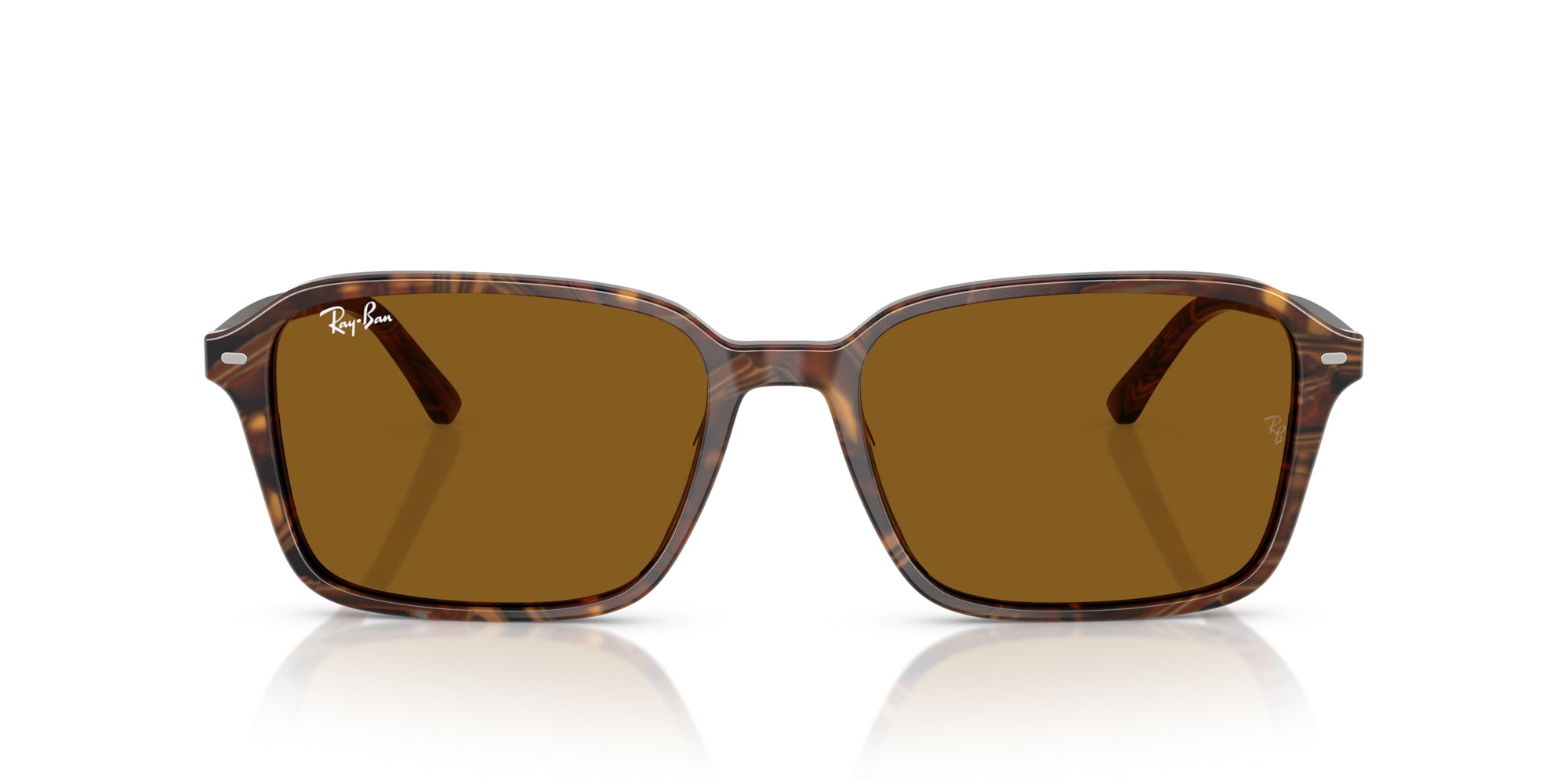 Ray-Ban Raimond RB2231