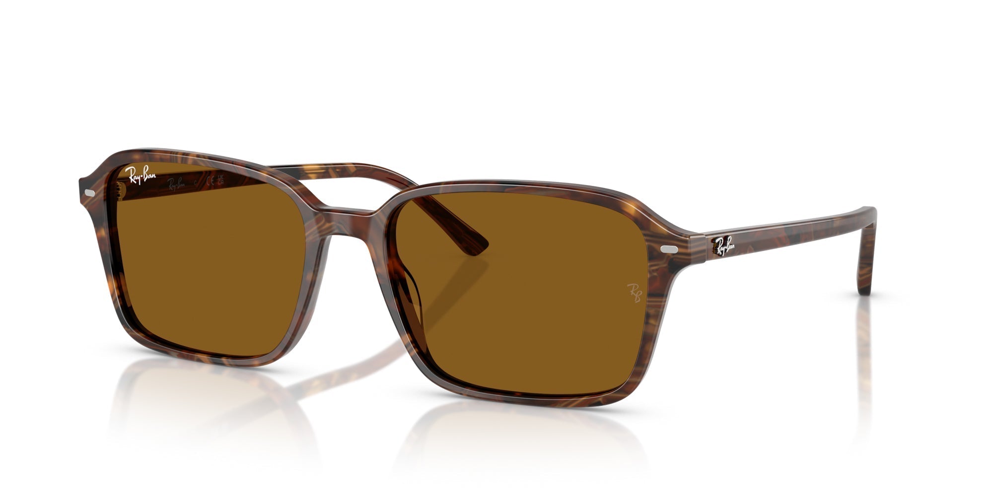 Ray-Ban Raimond RB2231