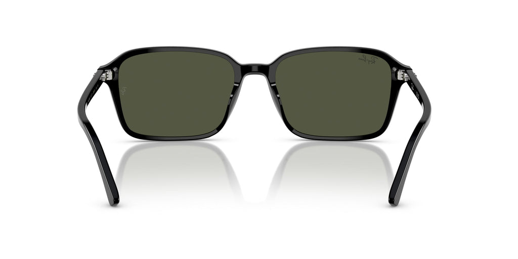 Ray-Ban Raimond RB2231