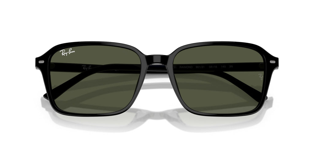 Ray-Ban Raimond RB2231