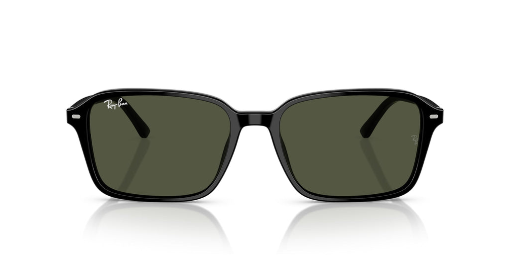 Ray-Ban Raimond RB2231