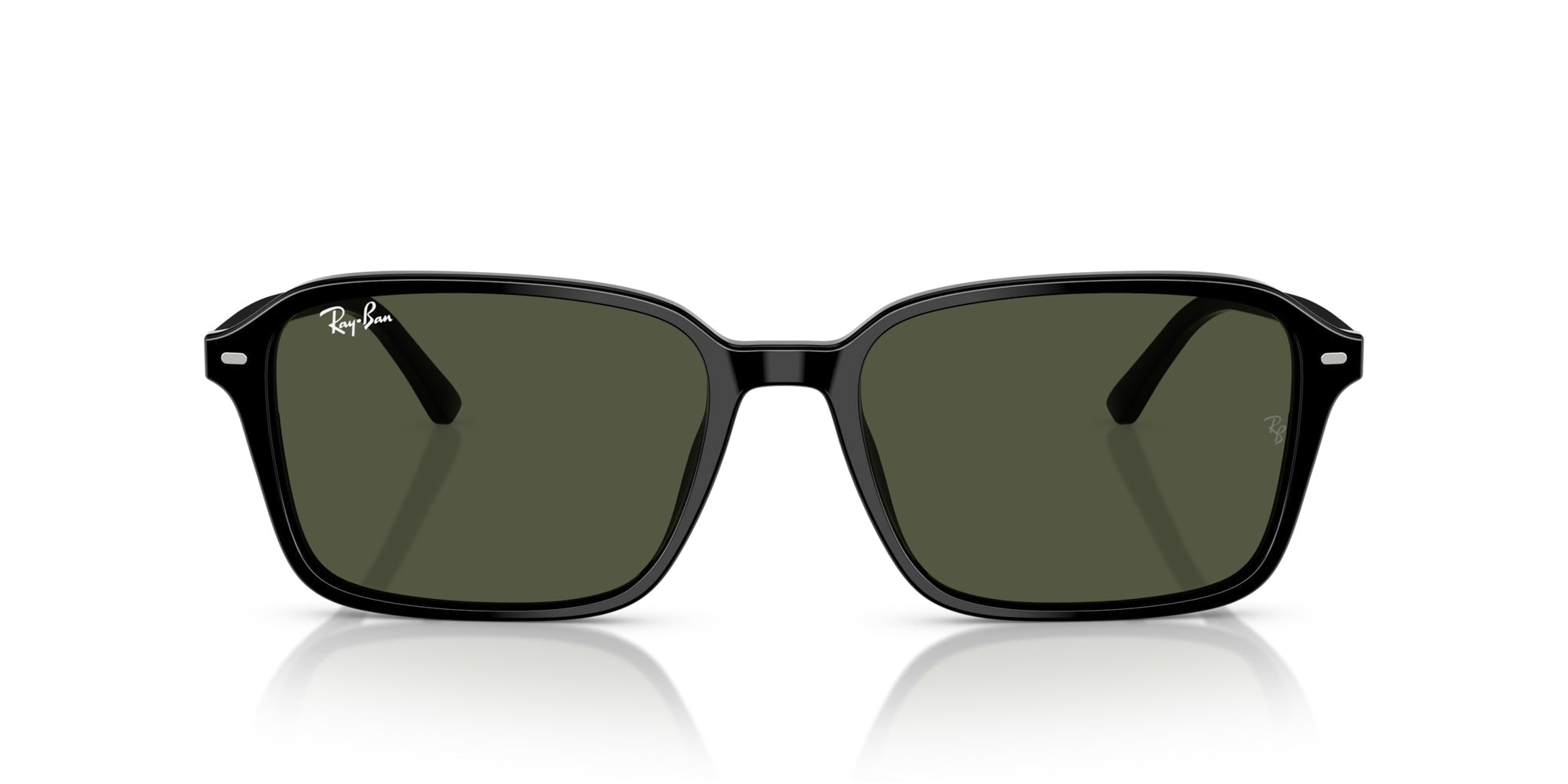 Ray-Ban Raimond RB2231