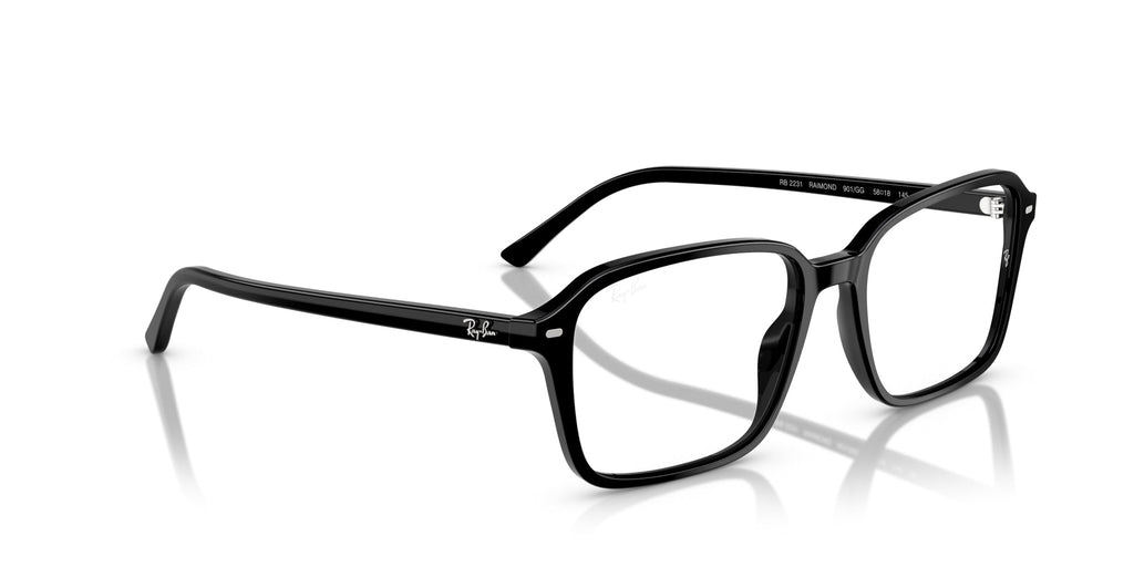 Ray-Ban Raimond RB2231