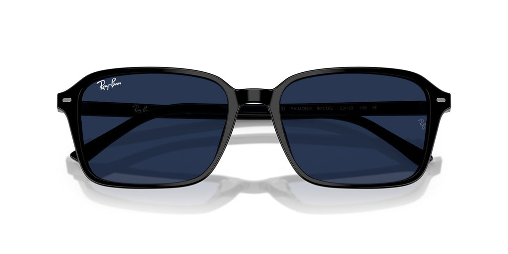 Ray-Ban Raimond RB2231