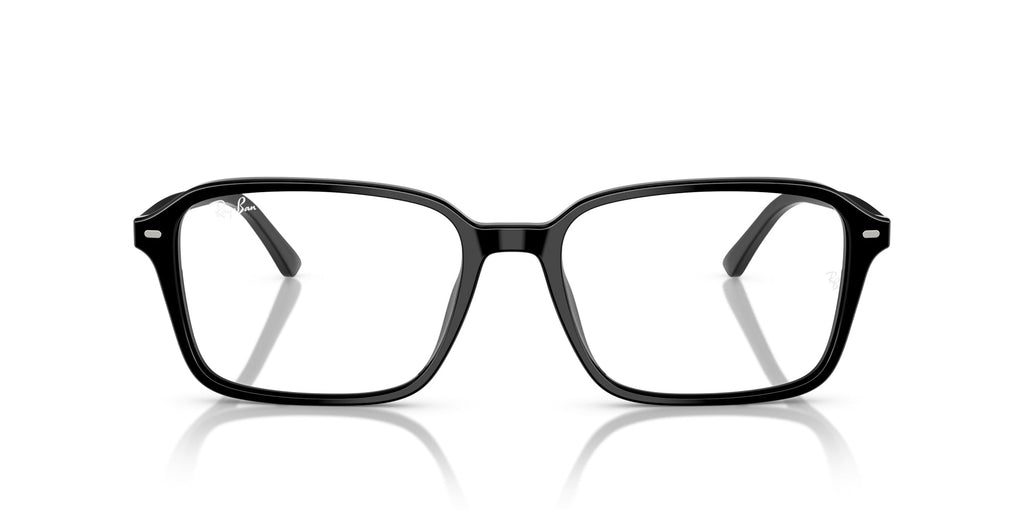 Ray-Ban Raimond RB2231