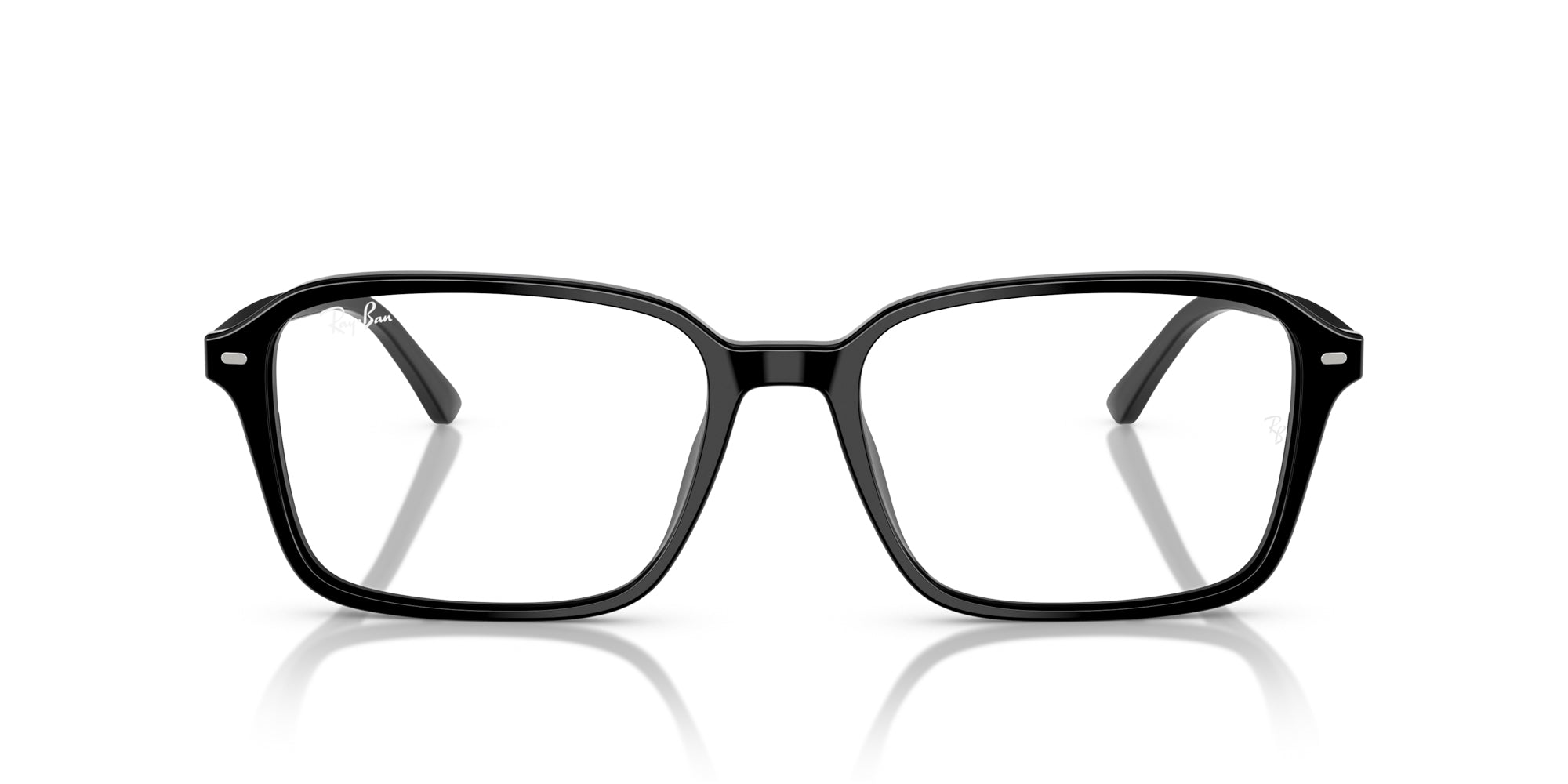 Ray-Ban Raimond RB2231