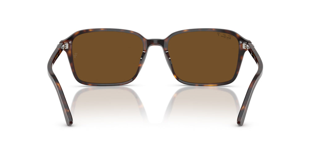 Ray-Ban Raimond RB2231
