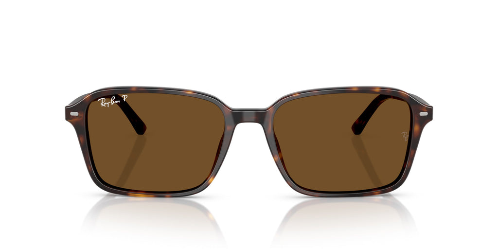 Ray-Ban Raimond RB2231