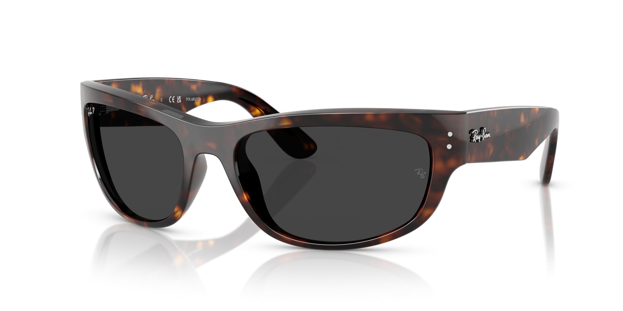 Ray-Ban Mega Balorama RB2289
