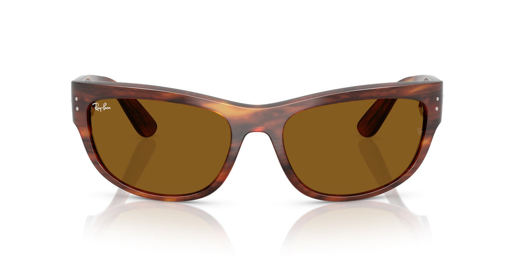 Ray-Ban Mega Balorama RB2289